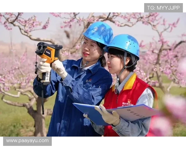 深入了解K8真人厅的客户服务体系,享受全天候全方位的专业支持